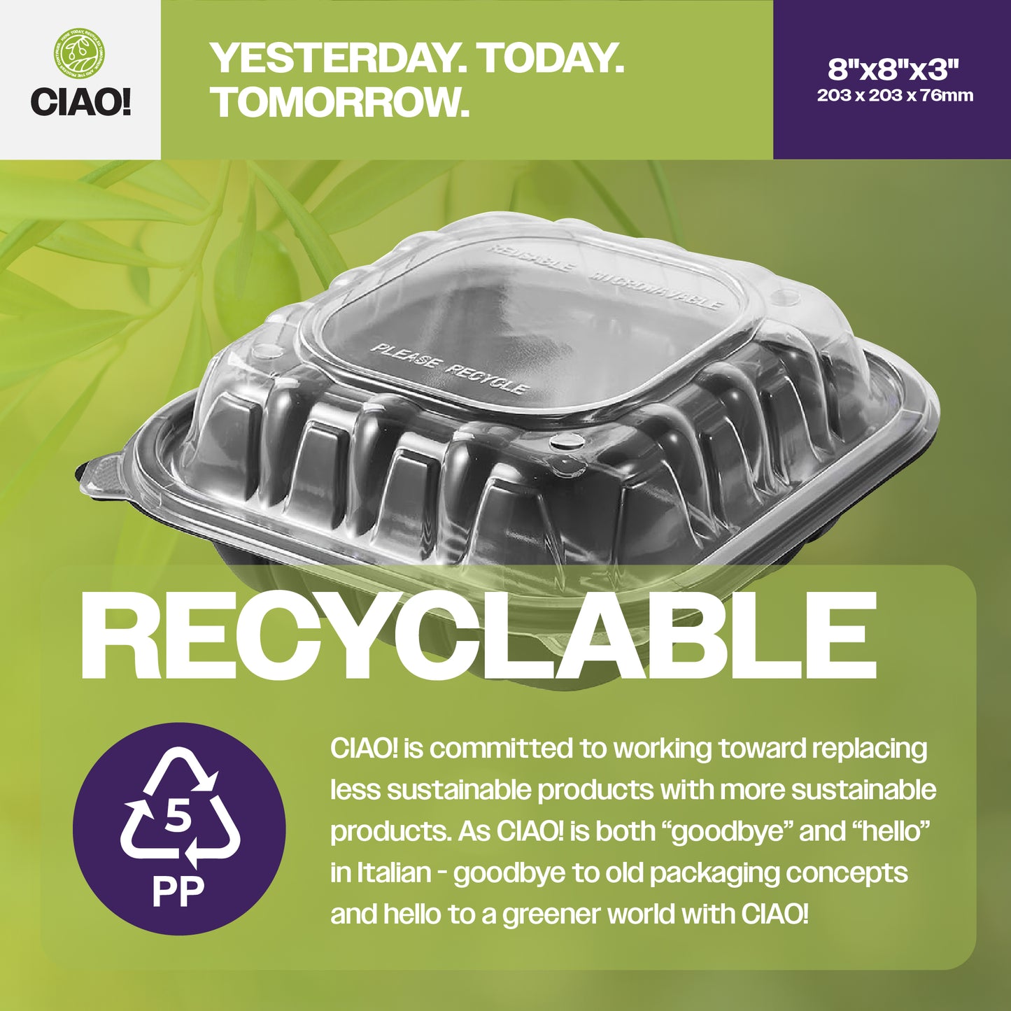 CIAO! 8"x8"x3" Polypropylene Black bottom with Clear Lid Hinged Container 3 Compartment Take Out Container, Microwavable, Recyclable and Reusable, (Case of 150)