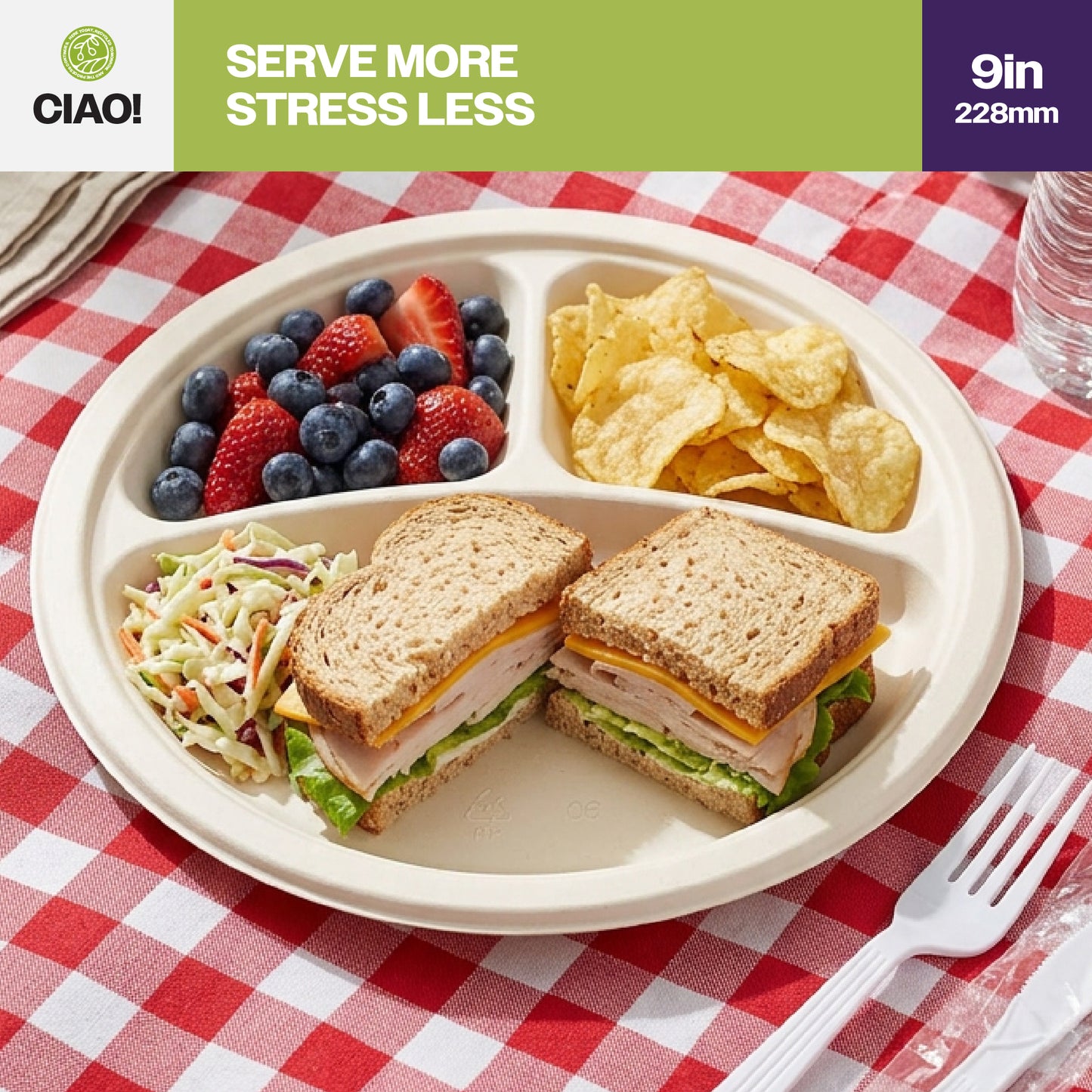 CIAO! 9" Heavy Duty Plate 3 compartment 100% Compostable PFAS Free Unbleached Bagasse Natural White (Pack of 500)