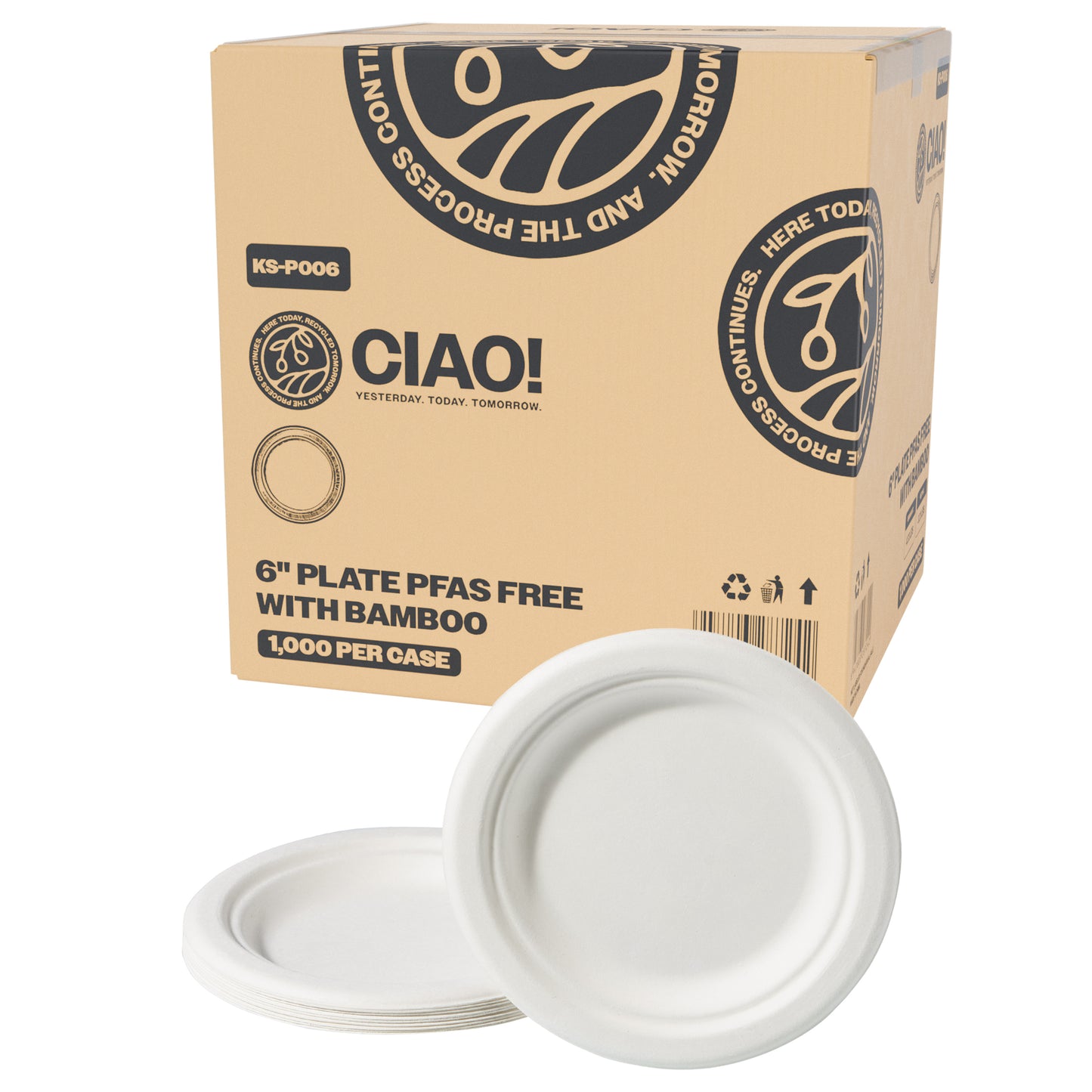 Carton of 6" White Dishes