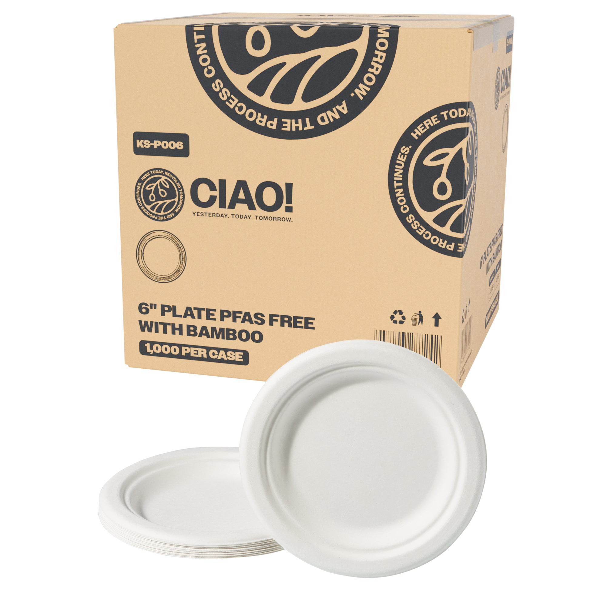 Carton of 6" White Dishes