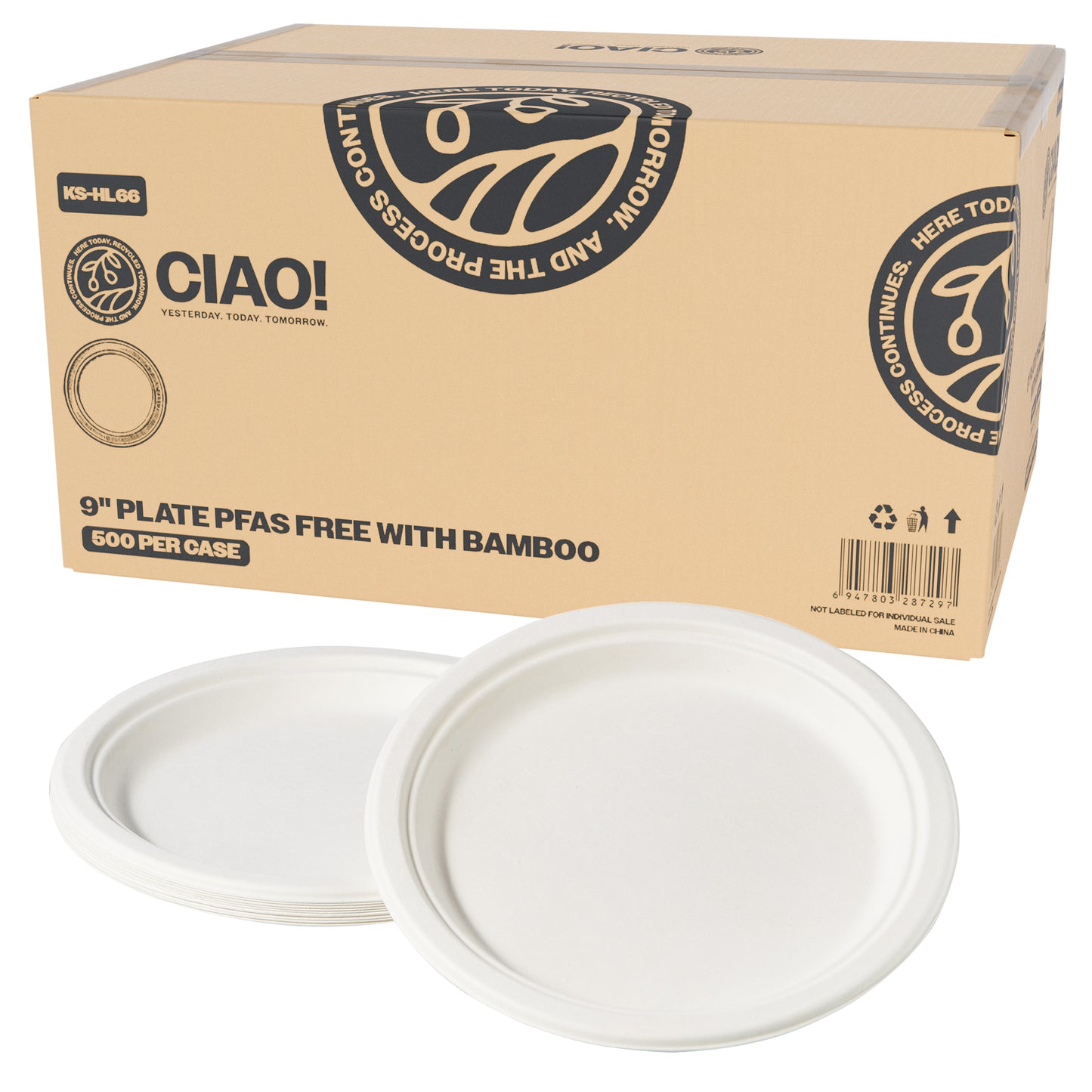 Single case of 9" White Dishes