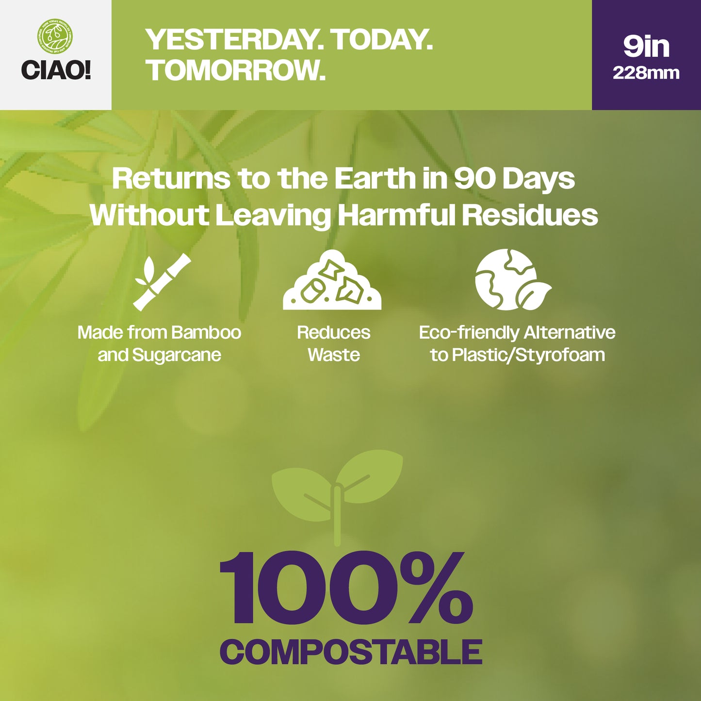 CIAO! 9" Heavy Duty Plate 3 compartment 100% Compostable PFAS Free Unbleached Bagasse Natural White (Pack of 500)